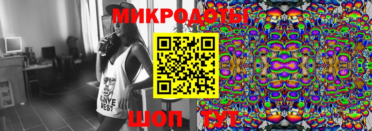 Галлюциногенные грибы Psilocybine cubensis Карпинск